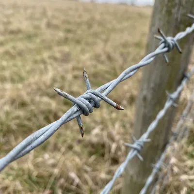 Barbed Wire